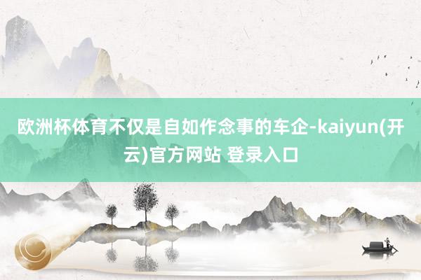 欧洲杯体育不仅是自如作念事的车企-kaiyun(开云)官方网站 登录入口