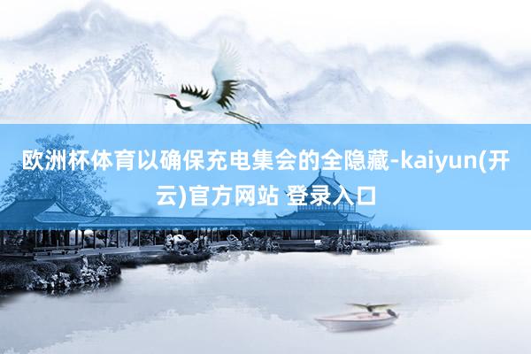 欧洲杯体育以确保充电集会的全隐藏-kaiyun(开云)官方网站 登录入口