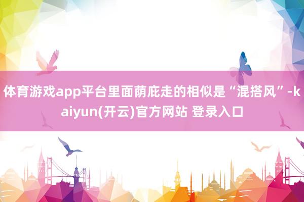 体育游戏app平台里面荫庇走的相似是“混搭风”-kaiyun(开云)官方网站 登录入口