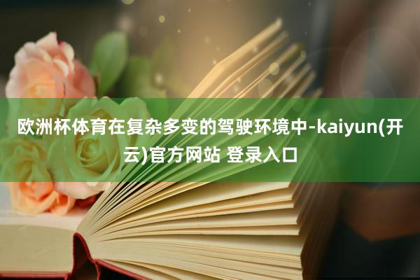 欧洲杯体育在复杂多变的驾驶环境中-kaiyun(开云)官方网站 登录入口