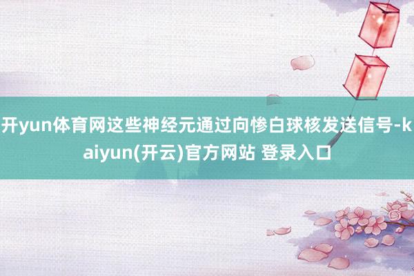 开yun体育网这些神经元通过向惨白球核发送信号-kaiyun(开云)官方网站 登录入口