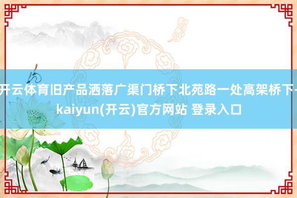 开云体育旧产品洒落广渠门桥下北苑路一处高架桥下-kaiyun(开云)官方网站 登录入口